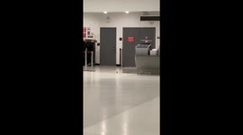 Bird walks around check-in desks at deserted Miami Airport