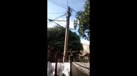 Firefighters rescue python coiled around electric pole in Indonesia