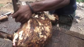 Butchering an antelope for bushmeat in one of Africa's wet markets - potential source of novel viruses and zoonotitic diseases.