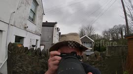 Wildlife Photographer Re-Creates His Most Incredible Encounter From Home!