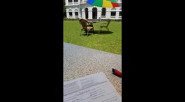 Repatriation flight from India to Germany: registration process at the consulate