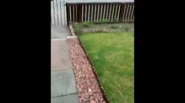 8pm clap for all essential workers