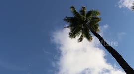 Cloud Timelapse Video, Udupi, Karnataka, India