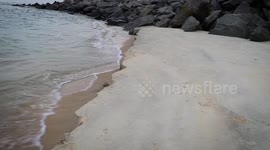 Waves Crashing onto The Beach Time Lapse