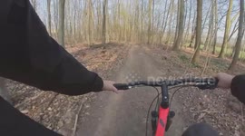 Fun Mountainbike riding in forrest / POV / Point of view / First person Camera angle