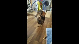 Give me some of your lunch