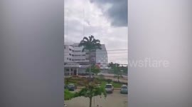 Vultures appear to circle above hospital in Ecuador housing Covid-19 patients
