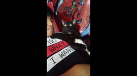 My talking cat wants to go outside