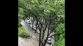 Qingming season in China