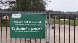 Dutch tulip theme park 'Keukenhof' shut down while flowers are blossoming