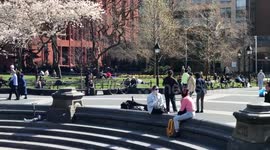 People gathering at Washington Square  / NYC