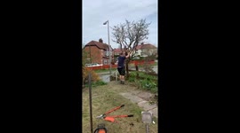 Man tries to uproot a tree and breaks his nose instead