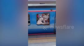 Woman handcuffed to train window in Thailand after alleged 'spitting rampage' through carriage