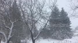 Fluffy spring snowfall is oddly satisfying in Saskatchewan, Canada