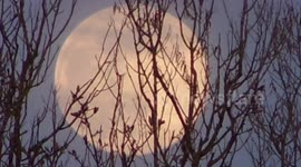 April 2020 Full Super Pink Moon