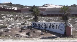 Human Rights commissioner to raise concerns over homeless holding site