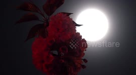 Beautiful supermoon spotted in the Chinese night's sky