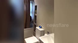 Hilarious videos show a mum keeping her kids entertained during lockdown