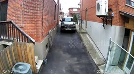 Bee seen flying in camera