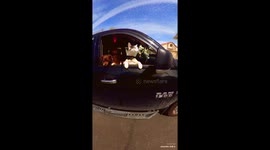 Insta360 shots of dog and cat driving in car
