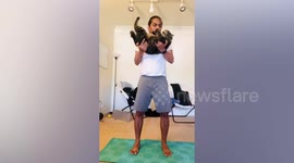 Man lifts his 'chonky' 16lbs cat during coronavirus isolation