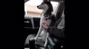 temp