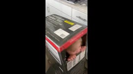 Box racer? Doctor dad is bemused as boys race around living room on days he's not on front lines of coronavirus fight