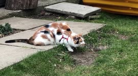 When you step out after quarantine