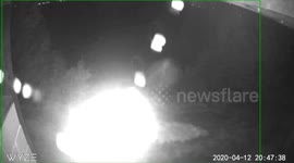 Spider caught on security camera