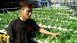 Indonesia's coronavirus outbreak grows interest in gardening