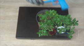 Hydraulic Press Vs Everyday Household objects [EXPERIMENT]