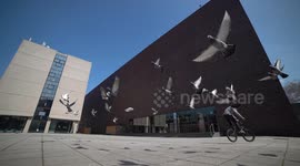 Man jumps through flying pigeons with his BMX Bike in Slowmo