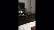 temp