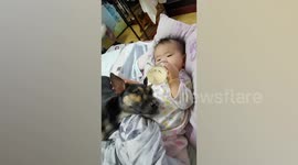 Baby Relaxes On Bed With Pet Dog By Her Side