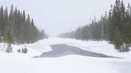 Late winter snow storm strikes lakes and forests of northern Sweden