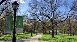 Field hospital set up in New York's Central Park during COVID-19 pandemic