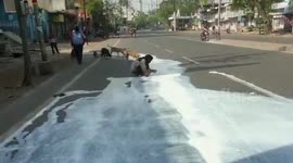 Starving man and stray dogs scramble to scoop up milk spilled on road in northern India after COVID-19 lockdown extension