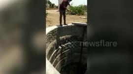 Rock python falls into well, hauled out by forest department officials in western India