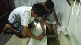 Group of youths find eight-foot-python hiding under floorboards of house in Indonesia