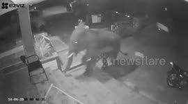 Security cam records moment angry wild elephant charges in southern India