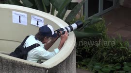 Primatologist Noel Rowe photographs Sykes' monkey mother and infant on roof of United Nations Office at Nairobi during IPS2018.