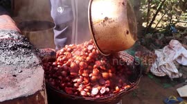 Areca Nut /Betel Nut Processing