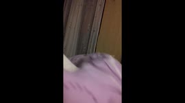 Butch the Jack Russell been told Your not licking my legs