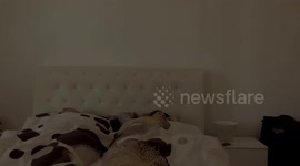 Smart Working (under lockdown)