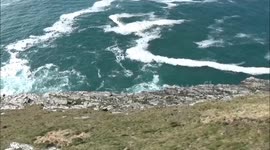 Tintagel Dinoflagellates,look like Pollution