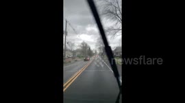 Trees Down in Haddon Heights