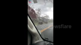 Shocking scene of fallen trees from strong wind gusts in New Jersey