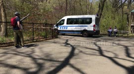 COVID19/Coronavirus Epidemic Pandemic Epicenter Prospect Park BKLYN NYC Social Distacing Police Annoucement April 2020