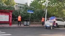 Chinese sanitation workers afraid of being fined use brooms to knock petals down from trees