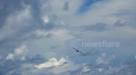 EarthDay50 - Ocean Research buoys dropped by yachts